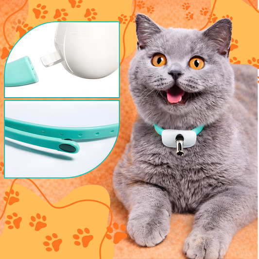 Collar con laser para gatos