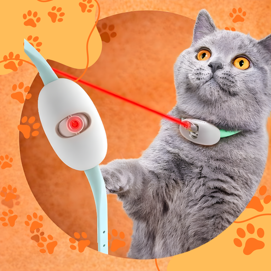 Collar con laser para gatos