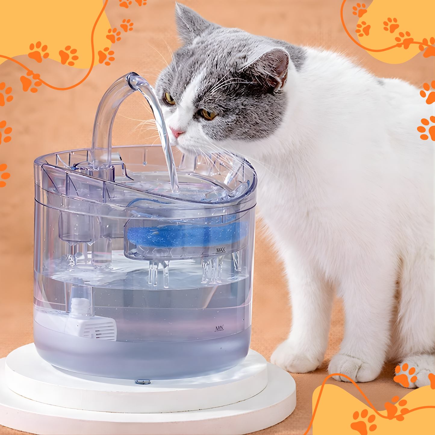 Fuente de agua con sensor