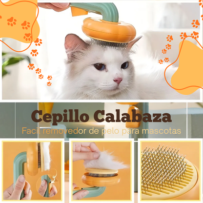Cepillo calabaza