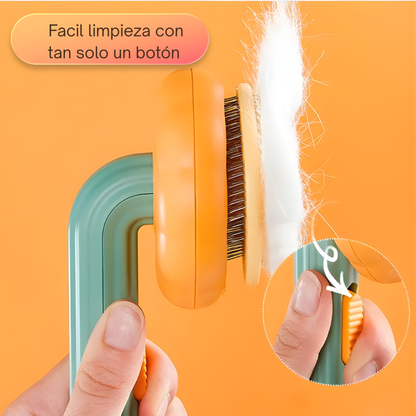 Cepillo calabaza